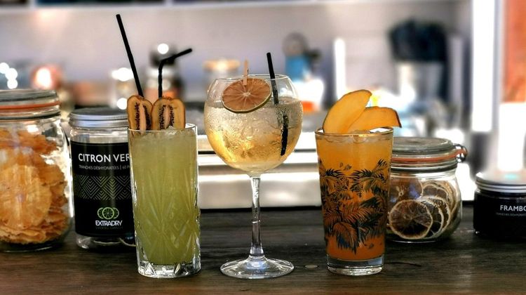 1695292537167-Extradry1