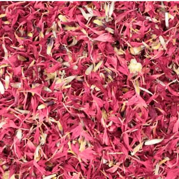 Pétales de bleuet rouge