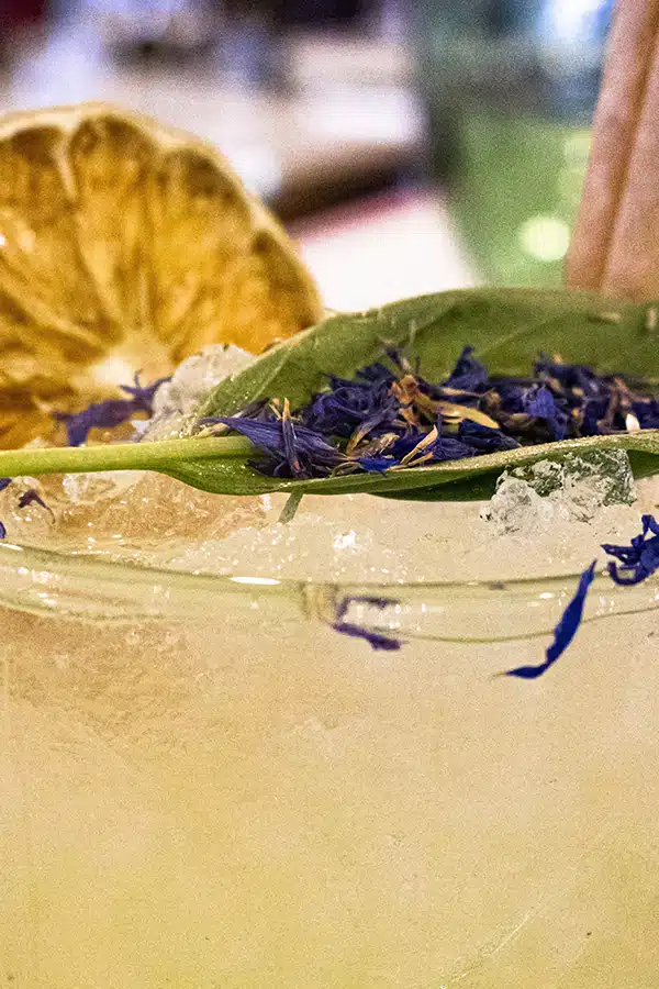 extradry bleuet et citron coktails déco