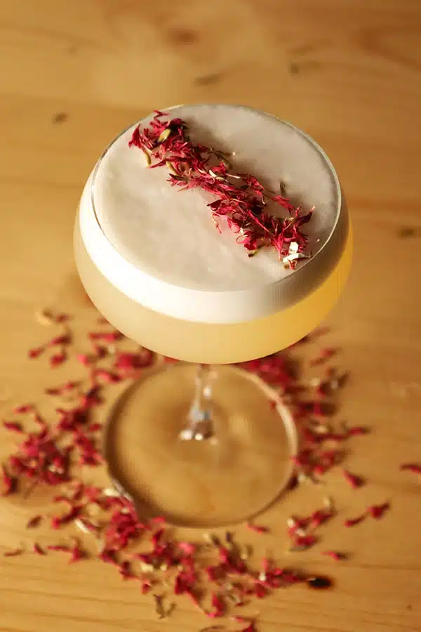 extradry bleuet rouge coktails déco 2