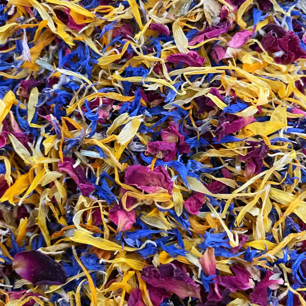 extradry mélange de fleurs 2