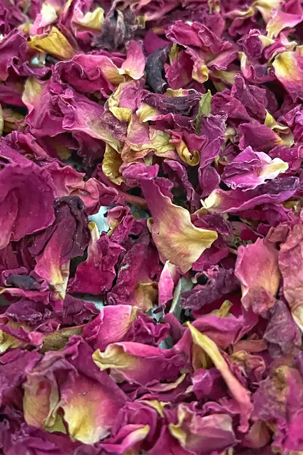 extradry pétales de rose vrac